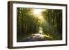 Golden Walk-Viviane Fedieu Daniel-Framed Photographic Print