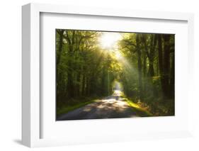 Golden Walk-Viviane Fedieu Daniel-Framed Photographic Print