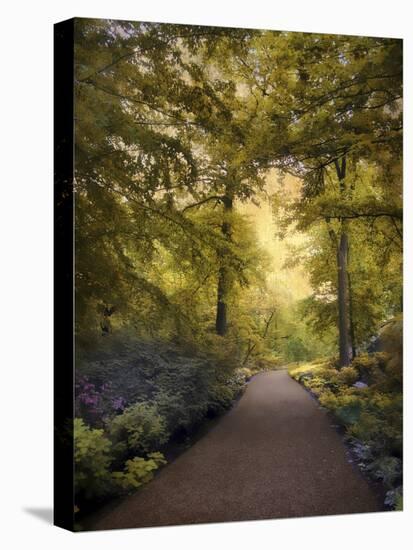 Golden Walkway-Jessica Jenney-Stretched Canvas