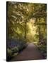 Golden Walkway-Jessica Jenney-Stretched Canvas