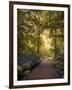 Golden Walkway-Jessica Jenney-Framed Giclee Print