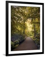 Golden Walkway-Jessica Jenney-Framed Giclee Print