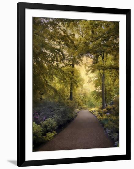 Golden Walkway-Jessica Jenney-Framed Giclee Print