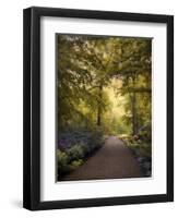 Golden Walkway-Jessica Jenney-Framed Premium Giclee Print