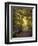 Golden Walkway-Jessica Jenney-Framed Premium Giclee Print