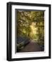 Golden Walkway-Jessica Jenney-Framed Premium Giclee Print