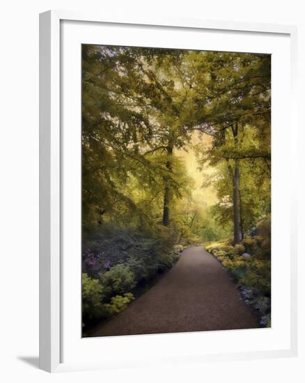 Golden Walkway-Jessica Jenney-Framed Giclee Print