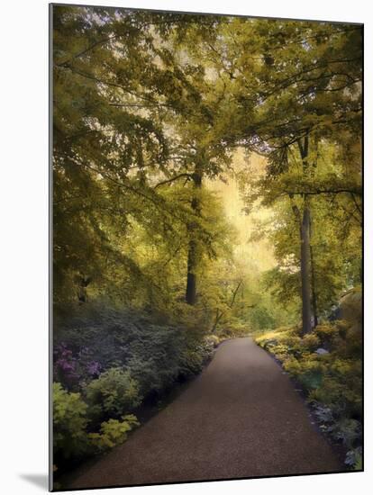 Golden Walkway-Jessica Jenney-Mounted Giclee Print