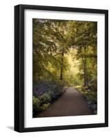 Golden Walkway-Jessica Jenney-Framed Giclee Print