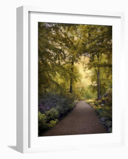 Golden Walkway-Jessica Jenney-Framed Giclee Print