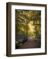 Golden Walkway-Jessica Jenney-Framed Giclee Print