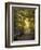 Golden Walkway-Jessica Jenney-Framed Giclee Print