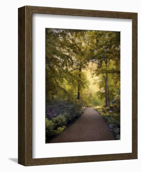 Golden Walkway-Jessica Jenney-Framed Giclee Print