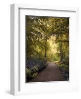 Golden Walkway-Jessica Jenney-Framed Giclee Print