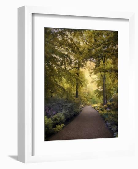 Golden Walkway-Jessica Jenney-Framed Giclee Print