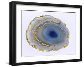 Golden Water Agate-Nature’s Little Gems-Framed Giclee Print