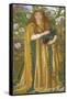 Golden Water (Princess Parisade) C.1858-Dante Gabriel Charles Rossetti-Framed Stretched Canvas