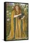 Golden Water (Princess Parisade) C.1858-Dante Gabriel Charles Rossetti-Framed Stretched Canvas