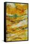 Golden Wave-Rikki Drotar-Framed Stretched Canvas