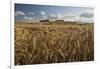 Golden wheatfield below Hackpen Hill, near Wantage, Oxfordshire, England, United Kingdom, Europe-Stuart Black-Framed Photographic Print