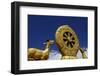 Golden Wheel of Dharma and Deer Sculptures-Simon Montgomery-Framed Photographic Print