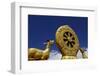 Golden Wheel of Dharma and Deer Sculptures-Simon Montgomery-Framed Photographic Print