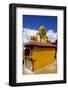 Golden Wheel of Dharma and Deer Sculptures-Simon Montgomery-Framed Photographic Print