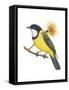 Golden Whistler (Pachycephala Pectoralis), Birds-Encyclopaedia Britannica-Framed Stretched Canvas