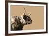 Golden Wild - Focus-James Guilliam-Framed Giclee Print