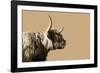 Golden Wild - Focus-James Guilliam-Framed Giclee Print