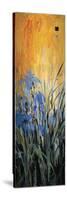 Golden Winged Garden II-Don Li-Leger-Stretched Canvas