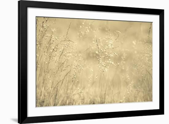 Golden Wispers-Adrian Campfield-Framed Photographic Print