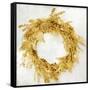 Golden Wreath II-Kate Bennett-Framed Stretched Canvas