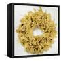 Golden Wreath III-Kate Bennett-Framed Stretched Canvas