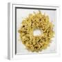 Golden Wreath III-Kate Bennett-Framed Art Print