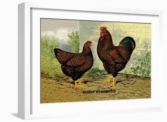 Golden Wyandottes-null-Framed Art Print