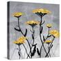 Golden Yarrow Flowers on Gray Background with Inspirational Words-Bee Sturgis-Stretched Canvas