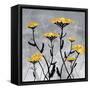 Golden Yarrow Flowers on Gray Background with Inspirational Words-Bee Sturgis-Framed Stretched Canvas