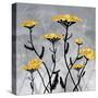 Golden Yarrow Flowers on Gray Background with Inspirational Words-Bee Sturgis-Stretched Canvas