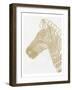 Golden Zebra-Pam Varacek-Framed Art Print