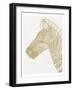 Golden Zebra-Pam Varacek-Framed Art Print