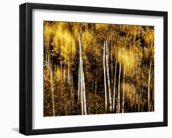 Golden-Ursula Abresch-Framed Photographic Print