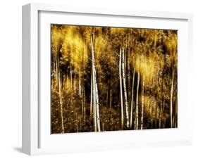 Golden-Ursula Abresch-Framed Photographic Print