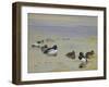 Goldeneye and Tufted Duck-Archibald Thorburn-Framed Giclee Print