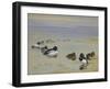 Goldeneye and Tufted Duck-Archibald Thorburn-Framed Giclee Print