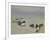 Goldeneye and Tufted Duck-Archibald Thorburn-Framed Giclee Print