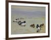 Goldeneye and Tufted Duck-Archibald Thorburn-Framed Giclee Print