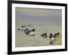 Goldeneye and Tufted Duck-Archibald Thorburn-Framed Giclee Print