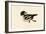 Goldeneye-John James Audubon-Framed Giclee Print