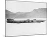 Goldenrod' Land Speed Record Attempt Car, Bonneville Salt Flats, Utah, USA, 1965-null-Mounted Photographic Print